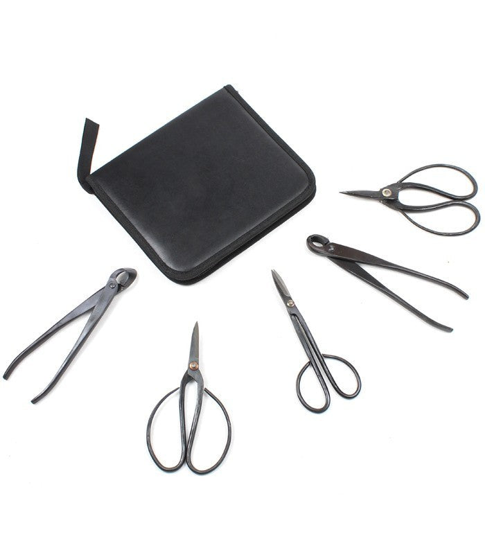 Kit utensili bonsai con astuccio