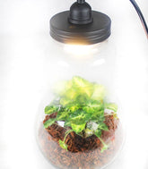 Lampada XL in vetro con Singonio