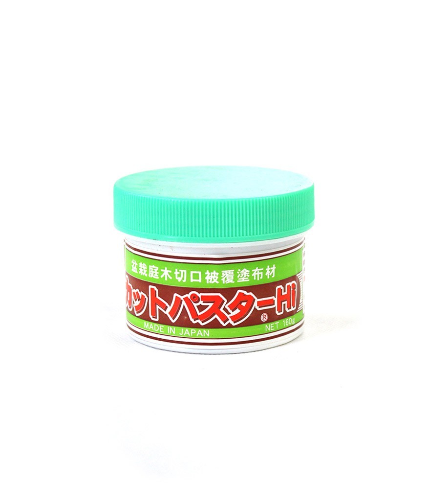 Mastice Verde Giapponese