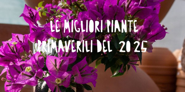 ? Le migliori piante primaverili 2025 per casa, ufficio e giardino