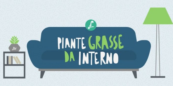 Piante grasse da interno: le fantastiche cinque 