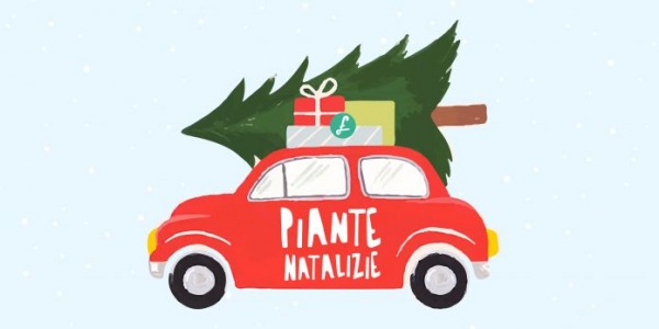 Le 10 piante natalizie perfette per fare un regalo speciale